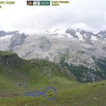 marmotta_marmolada