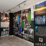 mim_belluno