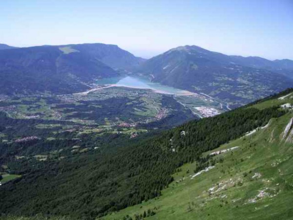 alpago