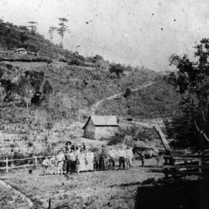 bellunesi in Brasile