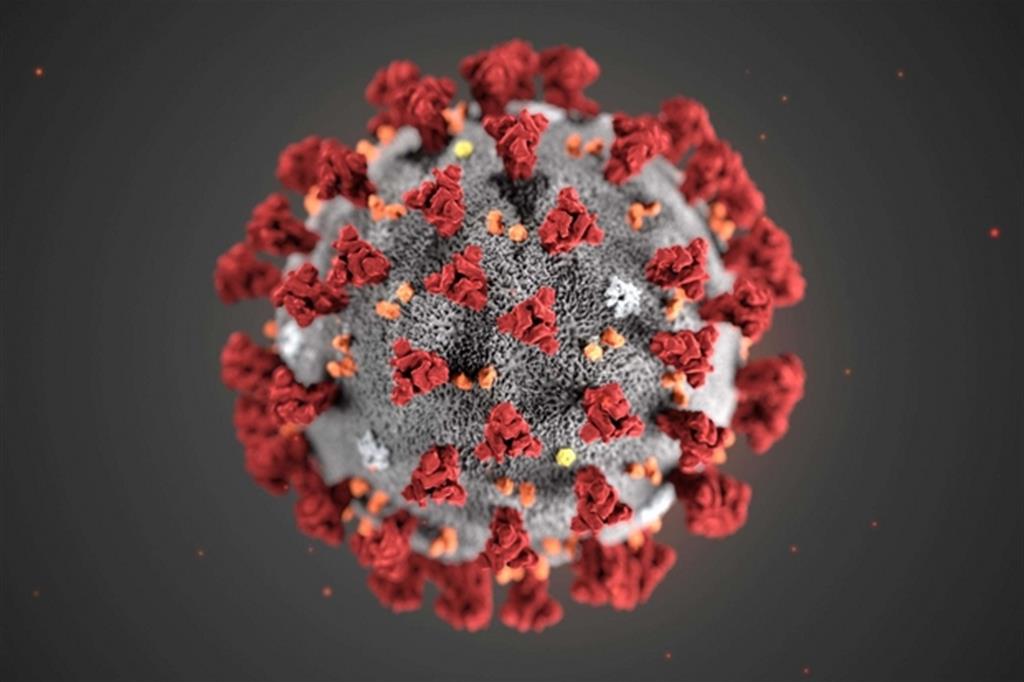 Coronavirus
