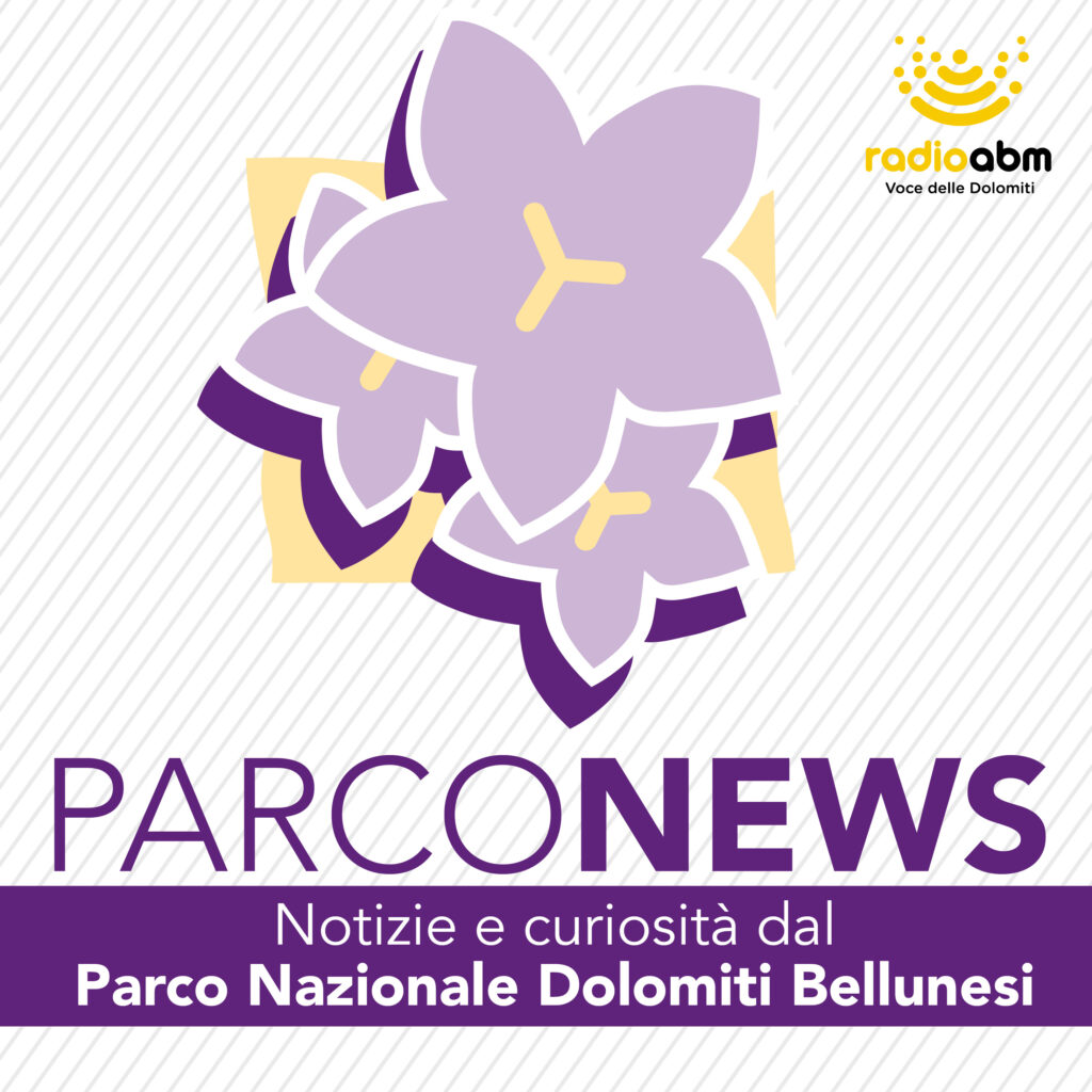Parco news