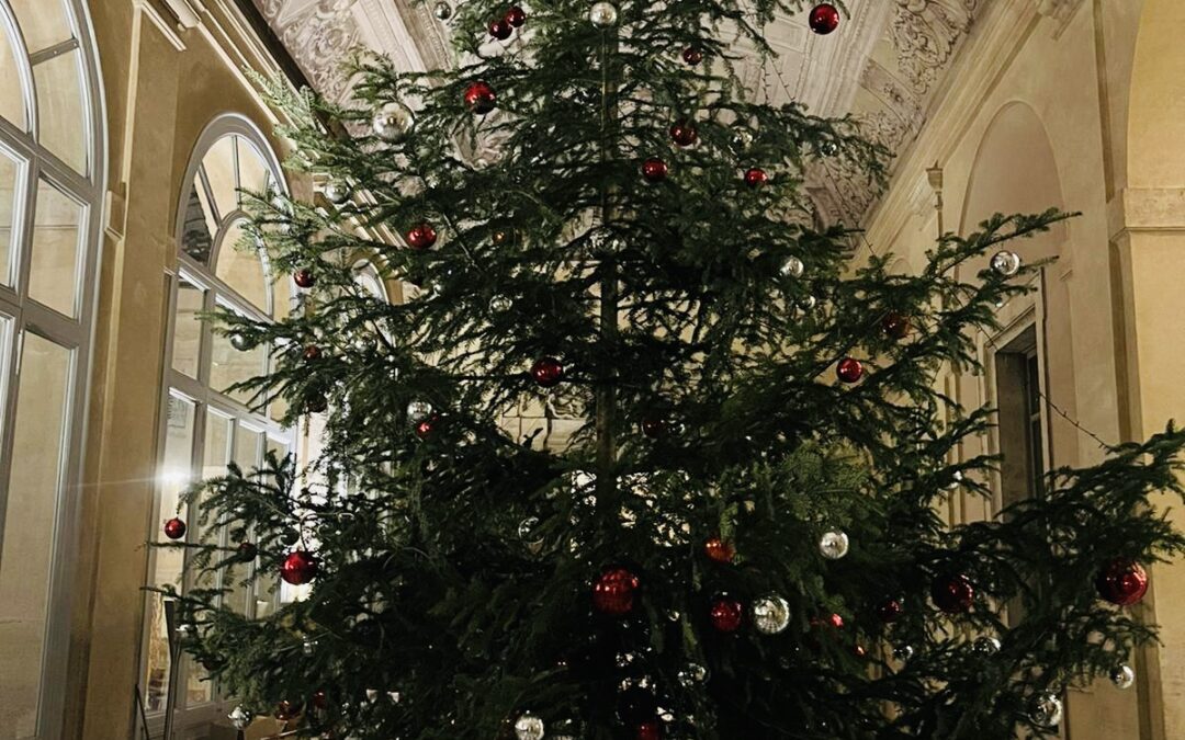 Abeti bianchi dalla Val Biois per la Presidenza della RepubblicaGli alberi di Natale del Quirinale arrivano da Canale d’Agordo e Falcade
