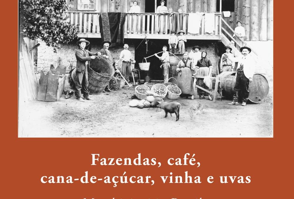 Fazendas, café, cana-de-açúcar, vinha e uvas. Marchigiani in Brasile